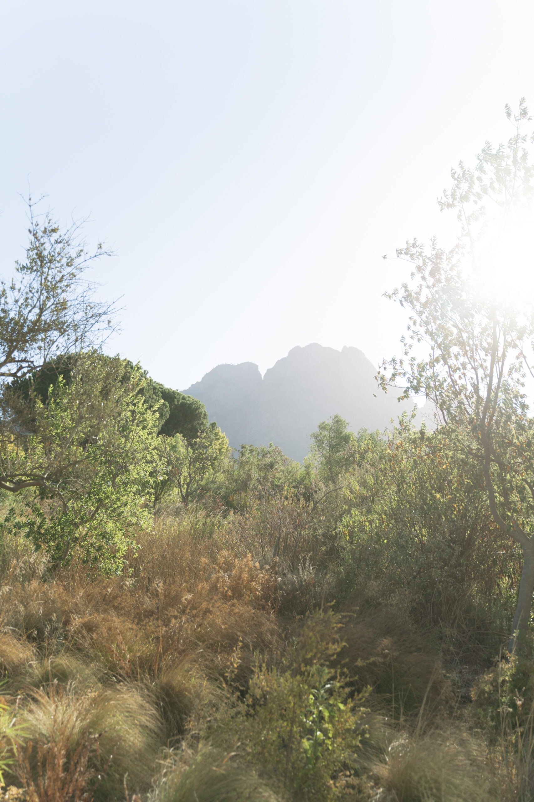 Mountains in Franschhoek, Western Cape