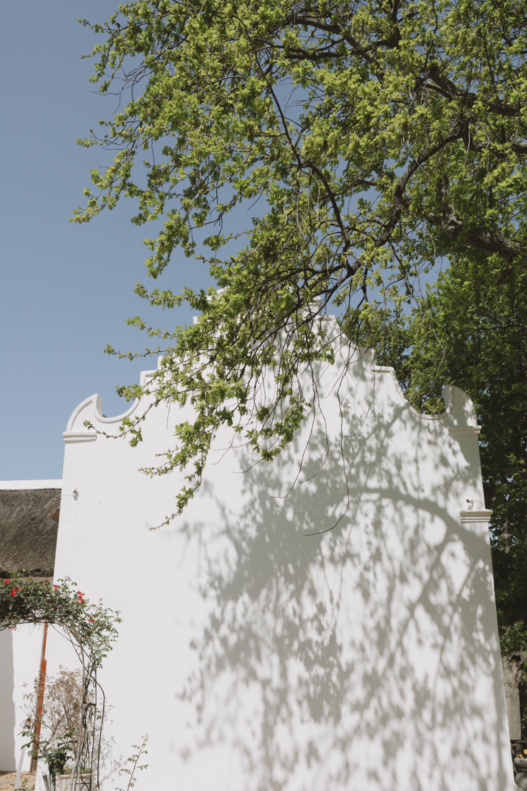 Wedding venue in Cape Town Winelands